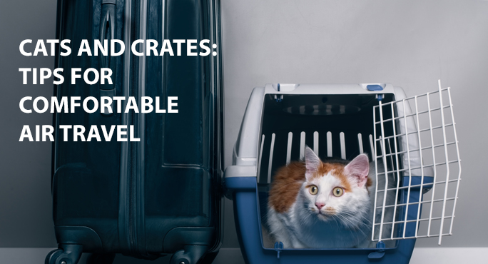 cat kennel for air travel