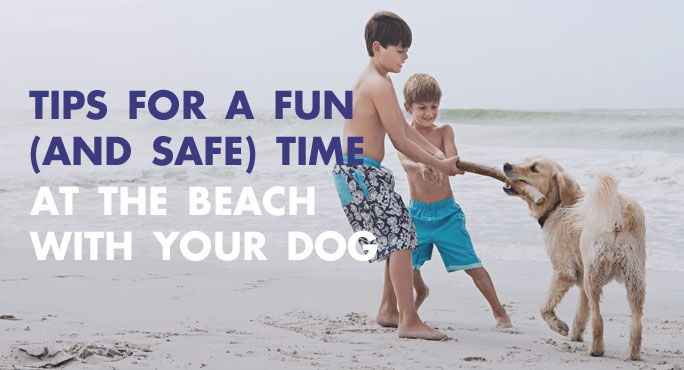 Tips-Fun-Safe-Beach-Dog-Blog.jpg