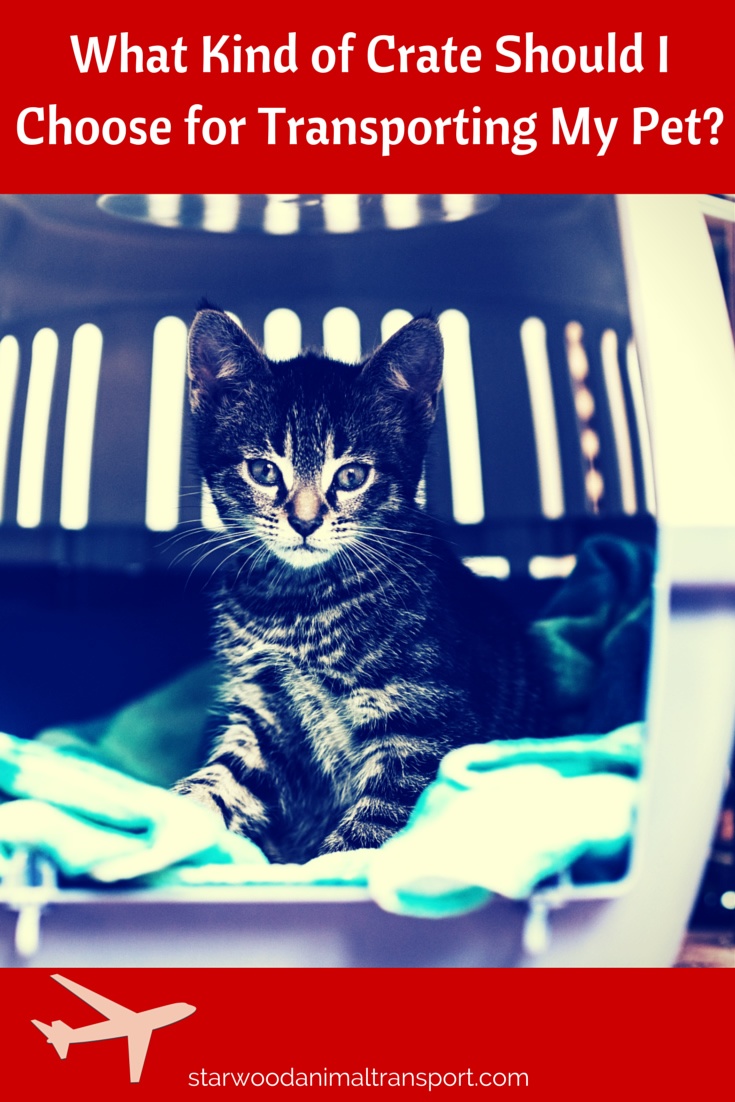 What Types Of Crates Are Best To Ship My Dog Or Cat In