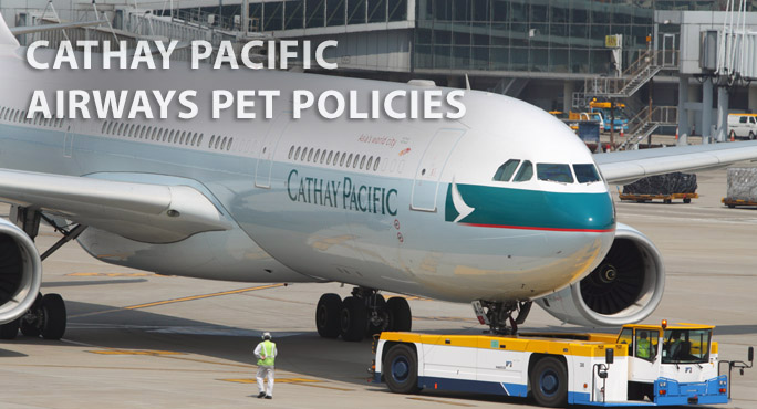 us airways pet policy